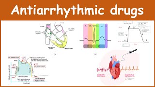 Antiarrhythmic Drugs Pharmacology Classification Pharmacology Indications and Examples [upl. by Aekim]