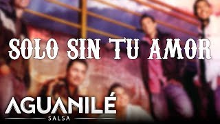 Solo Sin Tu Amor Aguanilé Salsa  Audio [upl. by Joline763]