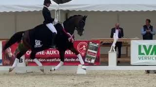 Ellis Escolar x Dimaggio wird WestfalenChampion 2020 [upl. by Kenward]