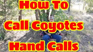 Master the Coyote Call in 5 Minutes [upl. by Akitahs]