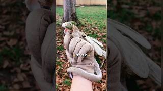 I MADE A DRAGON PUPPET🍄✨ art craft dragon dragonpuppets diy mushroom artist shorts [upl. by Anasxor81]