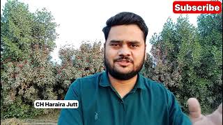 Latest News On Pakistan  News On Imran Khan  CH Haraira Jutt [upl. by Horatio]