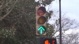 Crousehinds TypeR Traffic Light [upl. by Korman126]