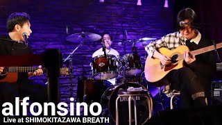 alfonsino  Live at 下北沢BREATHAcoustic [upl. by Yrro]