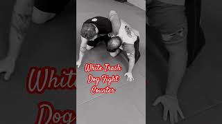 julesbruchez nogi jiujitsu dogfight saddle leglock acadianajiujitsu shorts [upl. by Ymarej]