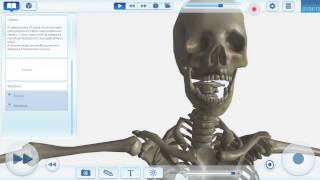 EvoBooks 3D Aulas Digitais  Biologia  Anatomia e Fisiologia Humanas Versão Pro [upl. by Ebner]