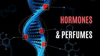 Are Perfumes Linked to Endocrine Hormone Disruption The Hidden Facts Revealed [upl. by Mitchiner]