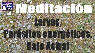 Meditación Larvas Parásitos energéticos Bajo Astral [upl. by Enahc]