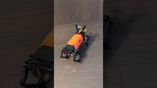 Quadruped robot stand up after falling robot opensource toys [upl. by Oinotnaocram]