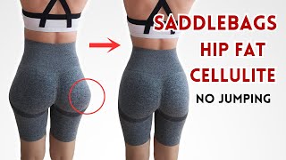 LOSE SADDLEBAG FAT reduce butt wrinkles in 14 day workout no jumping intense [upl. by Link]