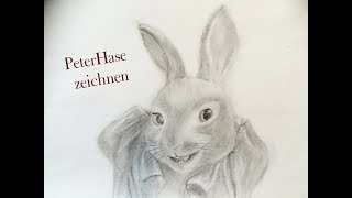 Peter Hase zeichnen [upl. by Pheni]