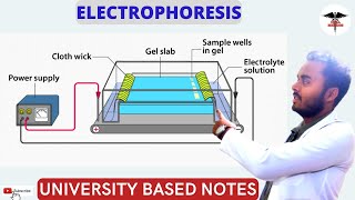 Electrophoresis  Types of Electrophoresis  Electrophoresis Applications [upl. by Yrakaz]