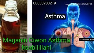 Maganin Ciwon Asthma fisabilillahi [upl. by Culberson686]