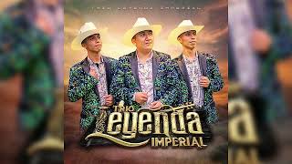 ZAPATEADOS EN VIVO TRIO LEYENDA IMPERIAL DAR [upl. by Nooj]