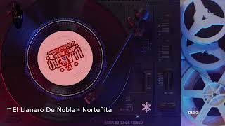 El Llanero De Ñuble  Norteñita Video Edit Dvj Blanquito 2024 [upl. by Welford]