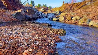 Calming Babbling brook sounds in october peaceful water stream noise 🍂 10 hours nature sounds [upl. by Esidnak367]