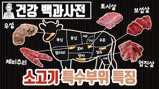 꾸리 이보구니 구녕살 제비추리 소고기 특수 부위 어디까지 아니 대표적인 소고기 특수부위에 대해 알아보자 세모지 [upl. by Eidoow55]