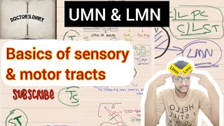 Sensory amp motor tracts CNS UMN vs LMN Functions of Ascending amp Descending tractsMedicineNEETPG [upl. by Hadleigh]