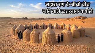 Sahara The Secret of Life in Sand  सहरा एक रहस्यमय दुनिया [upl. by Annasiul]