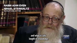 New Film A Conversation with Rabbi EvenIsrael Steinsaltz 1993 [upl. by Adav]