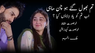 Tum Bhool Gaye Ho Chan Mahi  New Ghazzal 2024  Tribute to Attaulllah Khan Esakhelvi [upl. by Geiss]