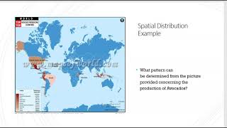 Spatial Distribution Patterns [upl. by Xymenes]