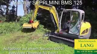 Forstmulcher Seppi Mini BMS 125 an einem Wacker Neuson 6003 Kettenbagger DEMO  Lang Machinery [upl. by Annaerb]