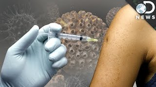 Should You Get The HPV Vaccine [upl. by Hyo569]