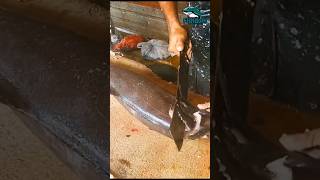 Amazing 😲  Escolar fish cutting escolar escolarfishing fishmarket fishcutting bigfishcutting [upl. by Ratib]