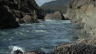 Hot Springs Cove Tofino The Experience  British Columbia Canada [upl. by White]