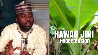 Maganin Hawan Jini Hypertension da Ganyen Ayaba  Mal Abubakar Pharmacy [upl. by Atikat478]