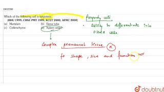 Which of the following cell is totipotent [upl. by Konstanze]