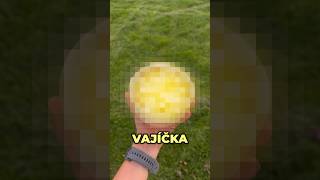 quotVirálníquot pudink z vajíček🥚 [upl. by Ecitsuj]