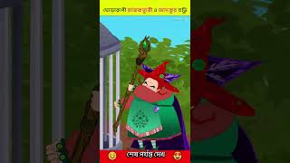 রাজকুমারী ও জাদুকর বুড়ি cartoon shorts story [upl. by Aurelea854]