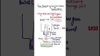 Gene Transfer by Gene Gun methodBiolostic method of gene transfer shorts geneticengineering [upl. by Tamra]