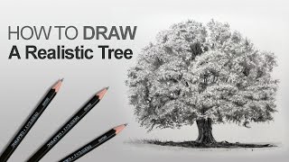 How to Draw a Tree Realistic [upl. by Dow]