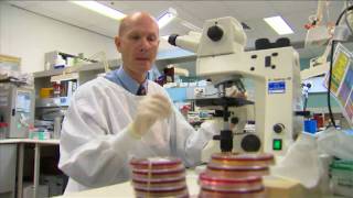 Day in the Life  Microbiology  Virology  Prof Bill Rawlinson [upl. by Hairem362]