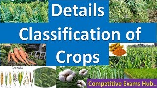 Detail Classification of Agricultural crops [upl. by Cope782]