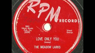 Meadow Larks  Love Only You  Great 50s Doo Wop Rocker [upl. by Aihsyn]