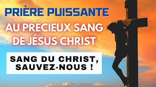 Prière Du Précieux Sang De Jésus Christ [upl. by Yluj]