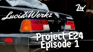 Project E24  BMW 633csi Restoration  Episode 1  First Wash and Interior Removal [upl. by Guy]