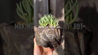 Let’s Craft a Cement Pot for Marlothistella stenophylla 🪴 craft succulents [upl. by Cyrilla]