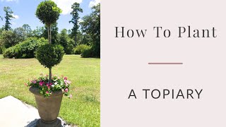 How To Plant A Topiary 🌿 [upl. by Godiva]