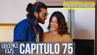 Pájaro soñador  Erkenci Kuş Capitulo 19 Audio Español [upl. by Winwaloe]