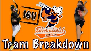 Bloomfield Sting Team Breakdown [upl. by Ytnom]