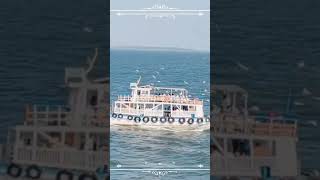 Exploring Kolaba Fort Mumbai to Alibaug Ferry Adventuremumbai shorts alibaug trending [upl. by Aisyram]