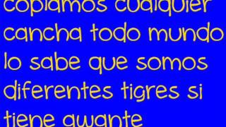 Vamos Tigres Con letra [upl. by Drobman]