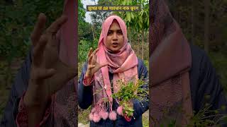 মুখের ঘা এর সমাধান নাকফুলে agriculture [upl. by Anidnamra]