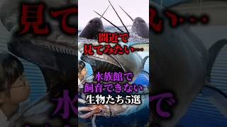 間近で見てみたい…水族館で飼育できない生物たち5選【ゆっくり解説】 [upl. by Saleme]