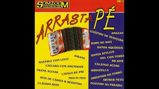 SomZoom Arrasta Pé Volume 04 [upl. by Lars452]